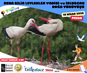 15. REHA BİLİR LEYLEKLER VADİSİ İSLİBUCAK DOĞA YÜRÜYÜŞÜ YAPILDI